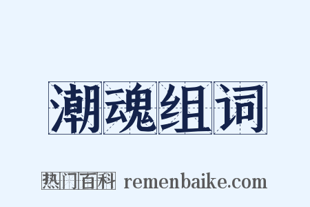 潮魂组词是什么意思的图片